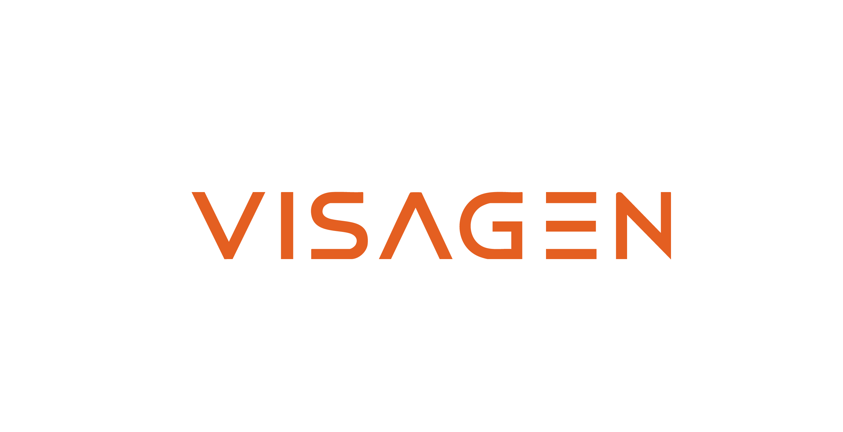 VISAGEN